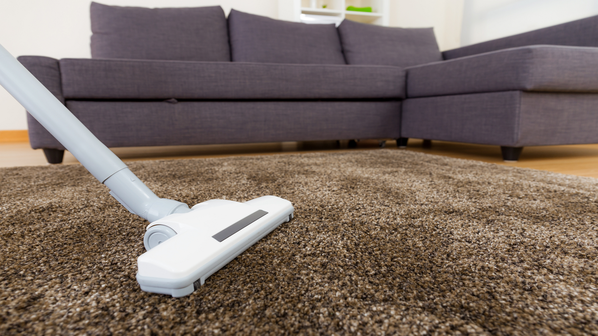 Best Carpet Cleaning Services in Williams