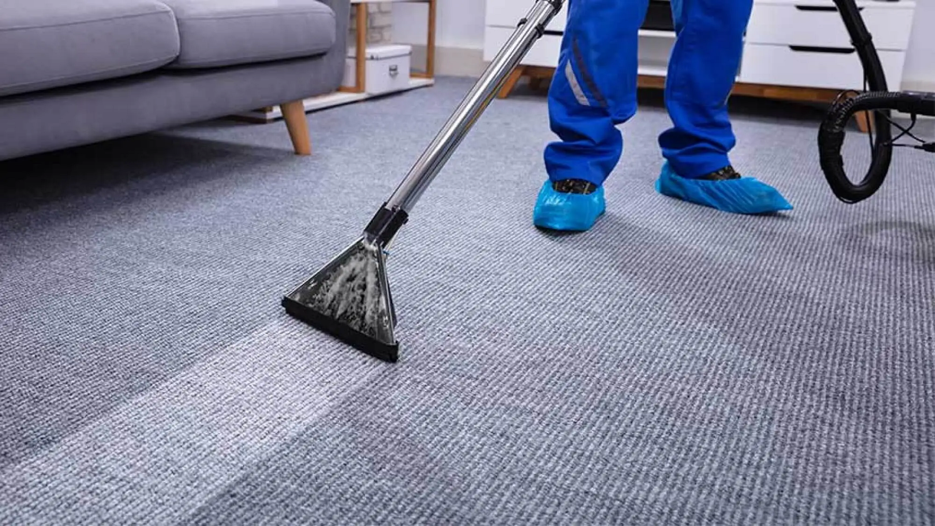 Deep Carpet Cleaning Solutions in Ash Fork