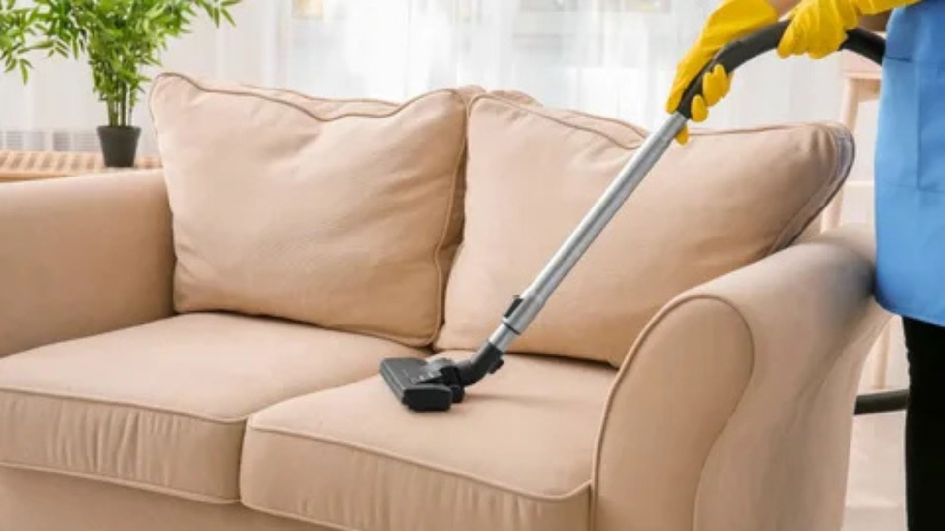 Professional Upholstery Cleaning Services in Ash Fork AZ