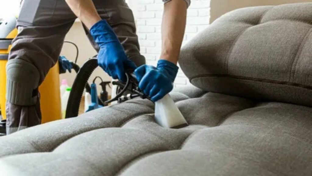 Upholstery Cleaning Services Services