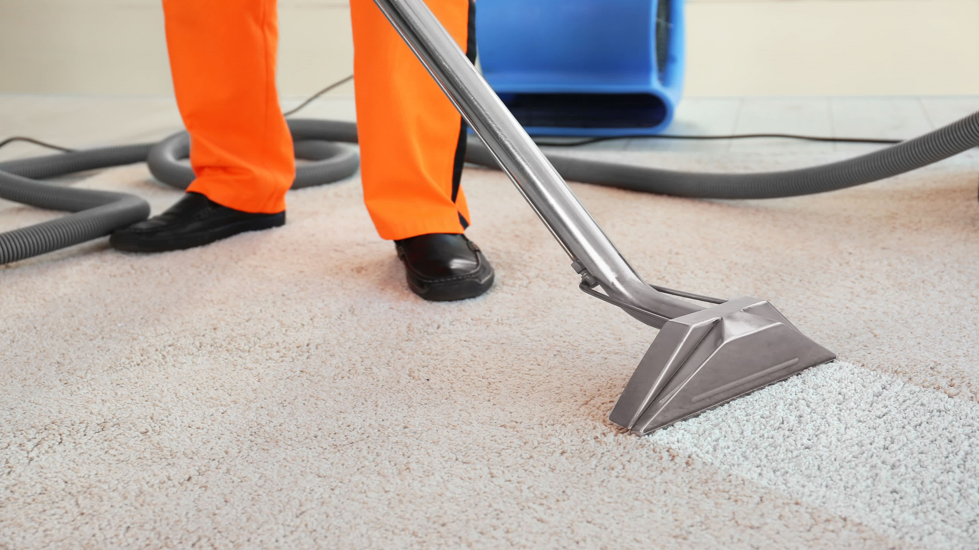 Rug Cleaning Company in Prescott